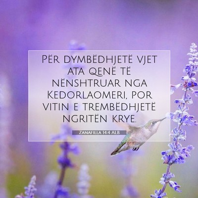 Picture 07 - Zanafilla 14:4 ALB - Për dymbëdhjetë vjet ata qenë të nënshtruar - Bible Verse Picture