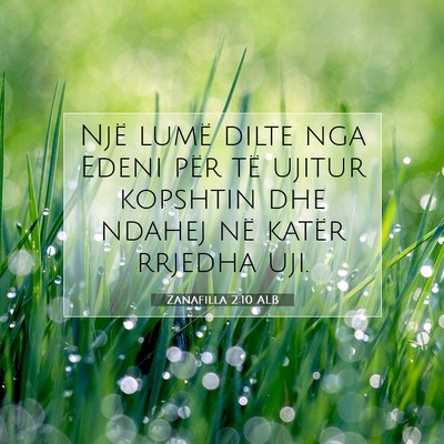 Picture 07 - Zanafilla 2:10 ALB - Një lumë dilte nga Edeni për të ujitur - Bible Verse Picture