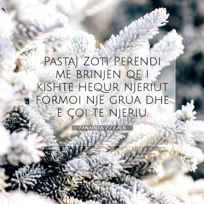 Picture 07 - Zanafilla 2:22 ALB - Pastaj Zoti Perëndi me brinjën që i kishte - Bible Verse Picture