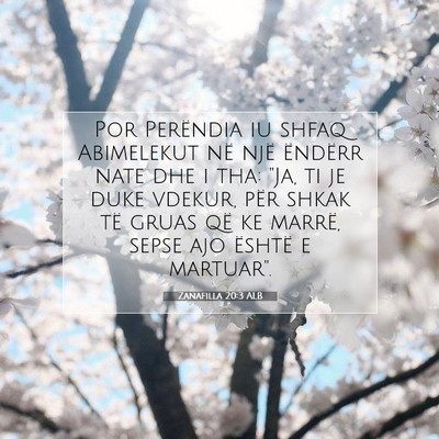 Picture 07 - Zanafilla 20:3 ALB - Por Perëndia iu shfaq Abimelekut në një - Bible Verse Picture