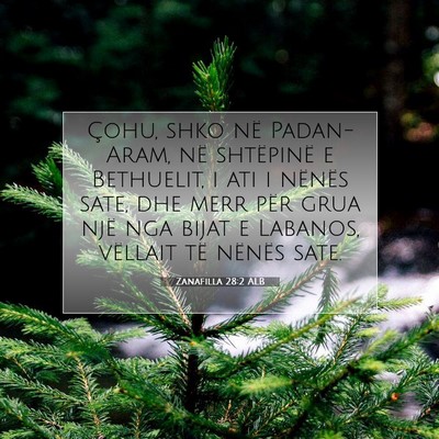 Picture 07 - Zanafilla 28:2 ALB - Çohu, shko në Padan-Aram, në shtëpinë e - Bible Verse Picture