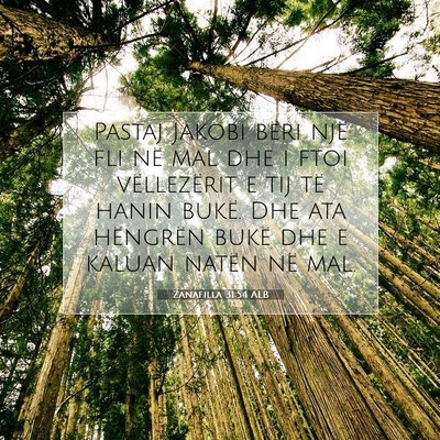 Picture 07 - Zanafilla 31:54 ALB - Pastaj Jakobi bëri një fli në mal dhe i ftoi - Bible Verse Picture