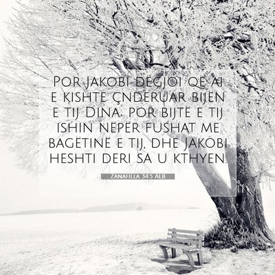 Picture 07 - Zanafilla 34:5 ALB - Por Jakobi dëgjoi që ai e kishte çnderuar - Bible Verse Picture