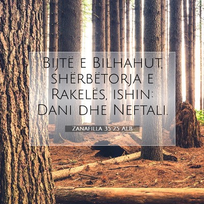 Picture 07 - Zanafilla 35:25 ALB - Bijtë e Bilhahut, shërbëtorja e Rakelës, - Bible Verse Picture