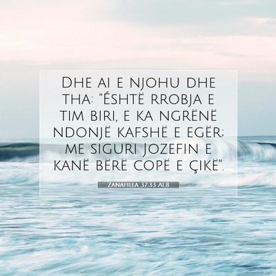Picture 07 - Zanafilla 37:33 ALB - Dhe ai e njohu dhe tha: 