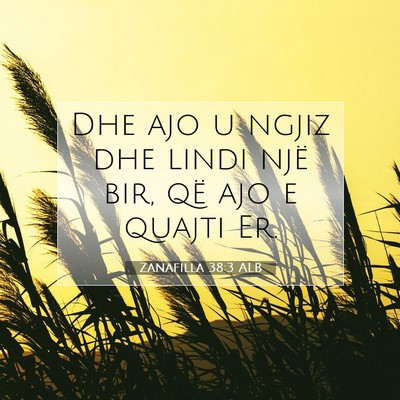 Picture 07 - Zanafilla 38:3 ALB - Dhe ajo u ngjiz dhe lindi një bir, që ajo e - Bible Verse Picture
