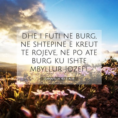 Picture 07 - Zanafilla 40:3 ALB - dhe i futi në burg, në shtëpinë e kreut të - Bible Verse Picture