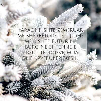 Picture 07 - Zanafilla 41:10 ALB - Faraoni ishte zemëruar me shërbëtorët e tij - Bible Verse Picture
