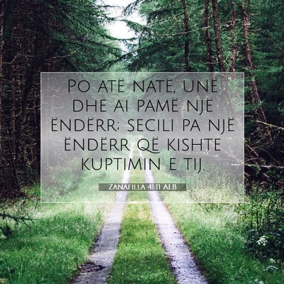 Picture 07 - Zanafilla 41:11 ALB - Po atë natë, unë dhe ai pamë një ëndërr; - Bible Verse Picture