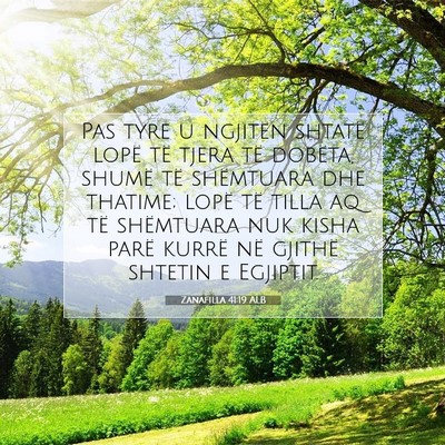 Picture 07 - Zanafilla 41:19 ALB - Pas tyre u ngjitën shtatë lopë të tjera të - Bible Verse Picture