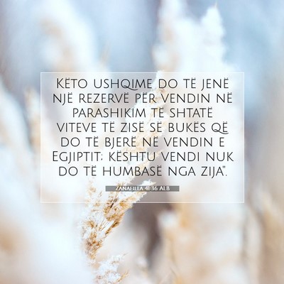 Picture 07 - Zanafilla 41:36 ALB - Këto ushqime do të jenë një rezervë për - Bible Verse Picture