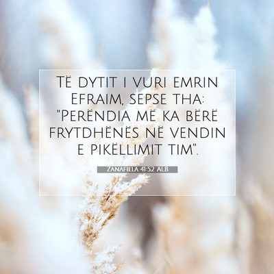 Picture 07 - Zanafilla 41:52 ALB - Të dytit i vuri emrin Efraim, sepse tha: - Bible Verse Picture