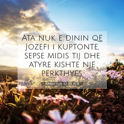 Picture 07 - Zanafilla 42:23 ALB - Ata nuk e dinin që Jozefi i kuptonte, sepse - Bible Verse Picture