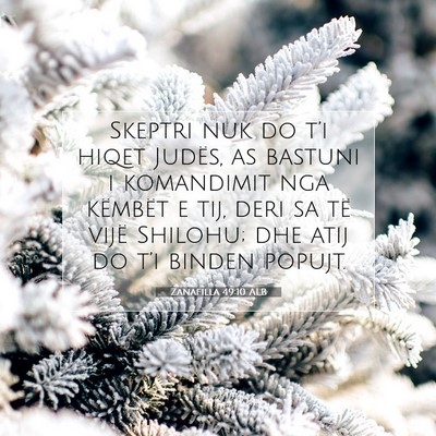 Picture 07 - Zanafilla 49:10 ALB - Skeptri nuk do t’i hiqet Judës, as bastuni i - Bible Verse Picture