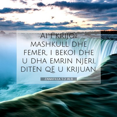 Picture 07 - Zanafilla 5:2 ALB - Ai i krijoi mashkull dhe femër, i bekoi dhe u - Bible Verse Picture
