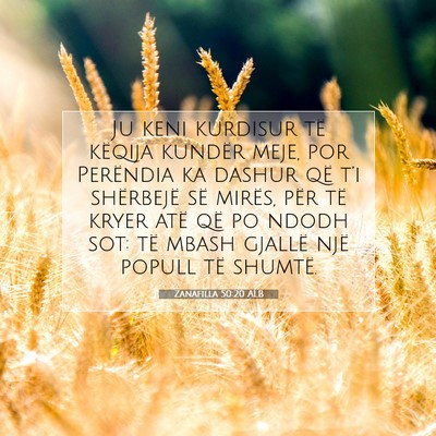 Picture 07 - Zanafilla 50:20 ALB - Ju keni kurdisur të këqija kundër meje, por - Bible Verse Picture