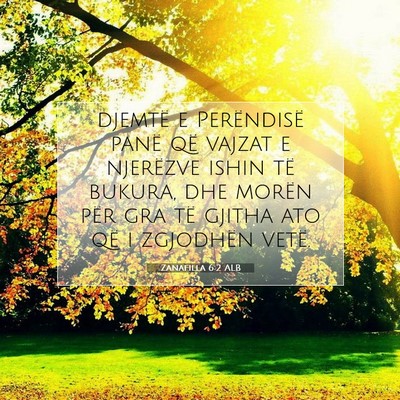 Picture 07 - Zanafilla 6:2 ALB - djemtë e Perëndisë panë që vajzat e - Bible Verse Picture