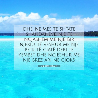Picture 07 - Zbulesa 1:13 ALB - dhe, në mes të shtatë shandanëve, një të - Bible Verse Picture