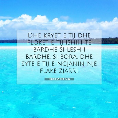 Picture 07 - Zbulesa 1:14 ALB - Dhe kryet e tij dhe flokët e tij ishin të - Bible Verse Picture