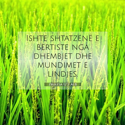 Picture 07 - Zbulesa 12:2 ALB - Ishte shtatzënë e bërtiste nga dhembjet dhe - Bible Verse Picture