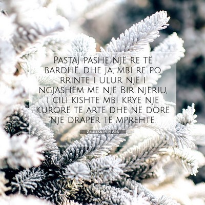 Picture 07 - Zbulesa 14:14 ALB - Pastaj pashë një re të bardhë, dhe ja, mbi re - Bible Verse Picture