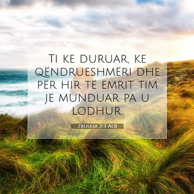 Picture 07 - Zbulesa 2:3 ALB - Ti ke duruar, ke qëndrueshmëri dhe për hir të - Bible Verse Picture
