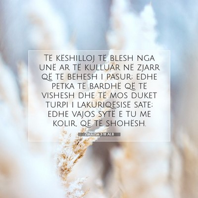 Picture 07 - Zbulesa 3:18 ALB - Të këshilloj të blesh nga unë ar të kulluar - Bible Verse Picture