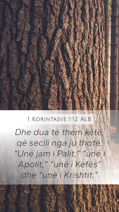 1 Korintasve 1:12 ALB Bible Verse Image