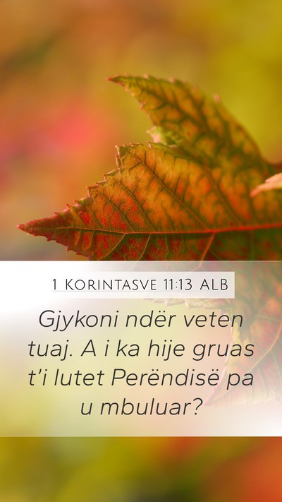 1 Korintasve 11:13 ALB Mobile Phone Wallpaper - Gjykoni ndër veten tuaj. A i ka hije gruas t’i - Mobile Bible Verse Wallpaper