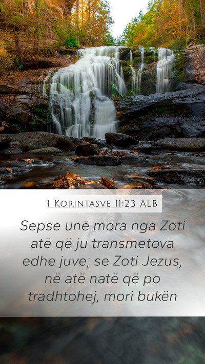 1 Korintasve 11:23 ALB Bible Verse Image