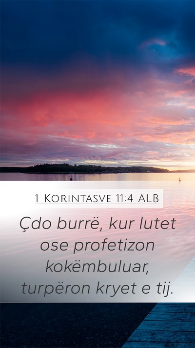 1 Korintasve 11:4 ALB Bible Verse Image