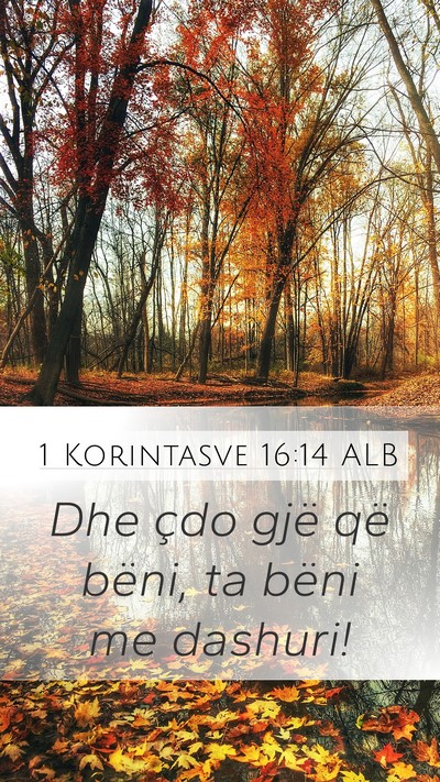 1 Korintasve 16:14 ALB Bible Verse Image