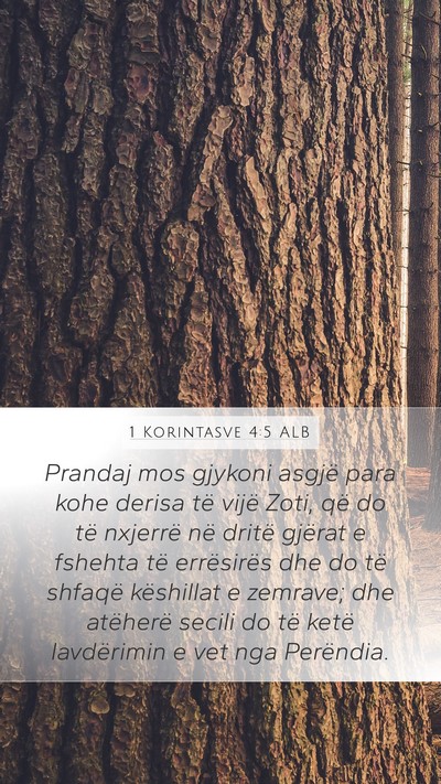 1 Korintasve 4:5 ALB Bible Verse Image