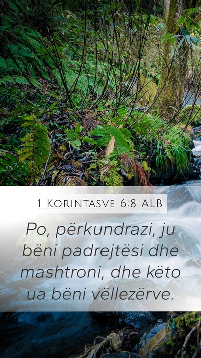 1 Korintasve 6:8 ALB Bible Verse Image