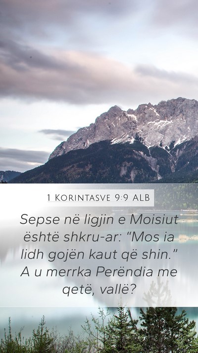 1 Korintasve 9:9 ALB Bible Verse Image