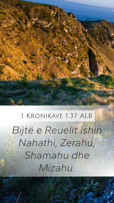 1 Kronikave 1:37 ALB Bible Verse Image