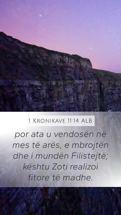 1 Kronikave 11:14 ALB Bible Verse Image