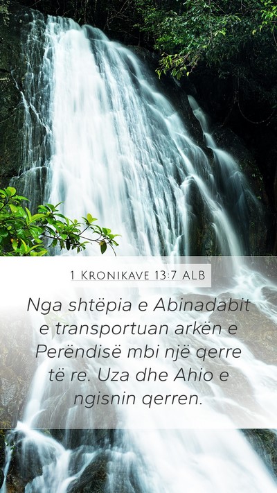 1 Kronikave 13:7 ALB Bible Verse Image