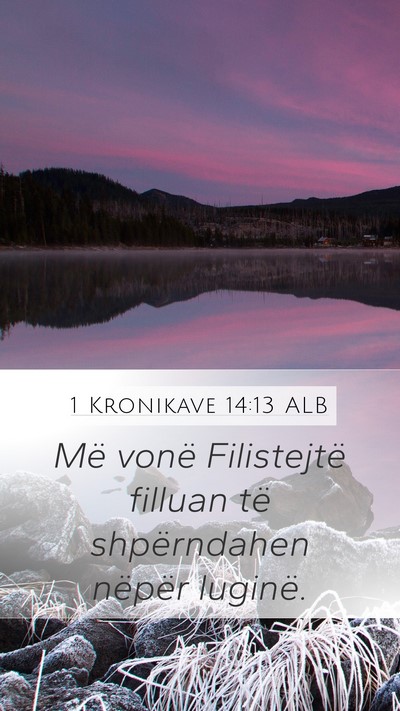 1 Kronikave 14:13 ALB Bible Verse Image