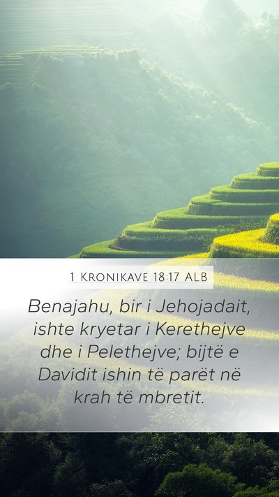 1 Kronikave 18:17 ALB Bible Verse Image