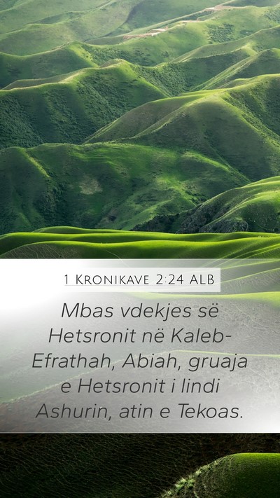 1 Kronikave 2:24 ALB Bible Verse Image