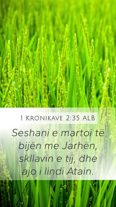 1 Kronikave 2:35 ALB Mobile Phone Wallpaper - Seshani e martoi të bijën me Jarhën, skllavin - Mobile Bible Verse Wallpaper