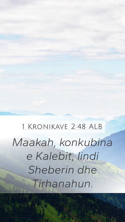 1 Kronikave 2:48 ALB Bible Verse Image