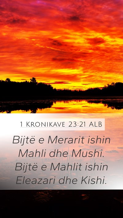 1 Kronikave 23:21 ALB Bible Verse Image