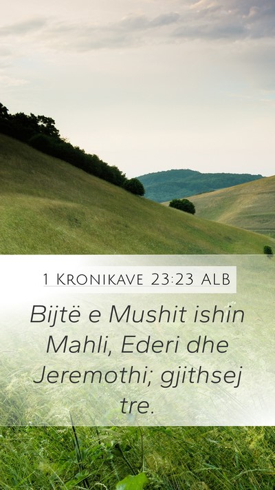 1 Kronikave 23:23 ALB Bible Verse Image