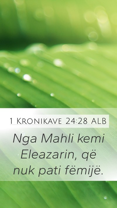 1 Kronikave 24:28 ALB Bible Verse Image