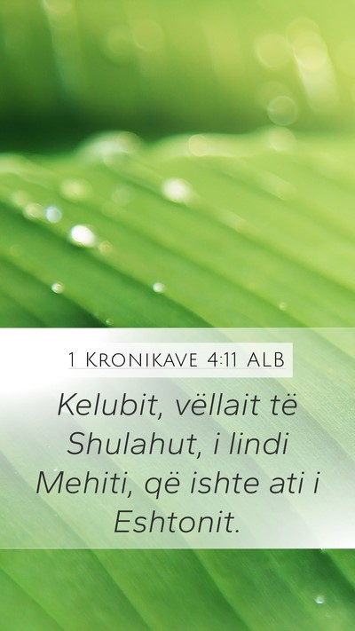 1 Kronikave 4:11 ALB Mobile Phone Wallpaper - Kelubit, vëllait të Shulahut, i lindi Mehiti, - Mobile Bible Verse Wallpaper