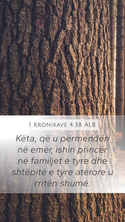 1 Kronikave 4:38 ALB Bible Verse Image