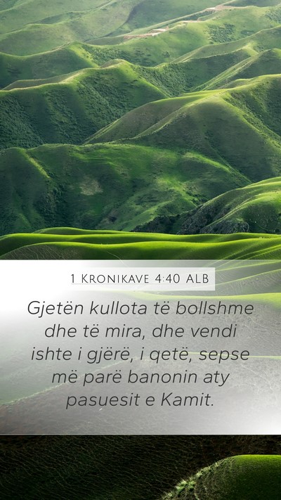 1 Kronikave 4:40 ALB Bible Verse Image