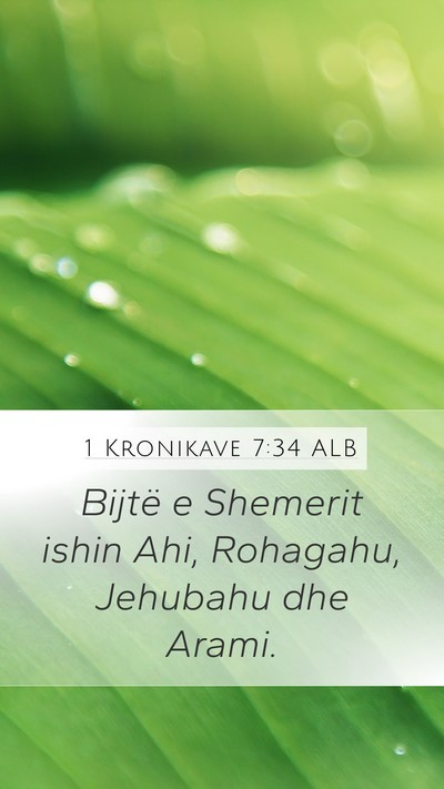 1 Kronikave 7:34 ALB Mobile Phone Wallpaper - Bijtë e Shemerit ishin Ahi, Rohagahu, Jehubahu - Mobile Bible Verse Wallpaper
